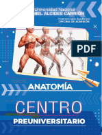 Anatomia 2023