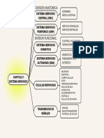 Mapa Mental Cap 1 Sistema Nervioso Natalia Martha Zamorano Marquez