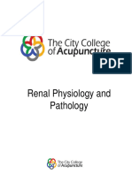 Urinary Tract Physiology and Pathology For 30th Mar