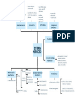 El Sistema Nervioso