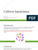 Cultivos Bacterianos