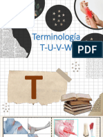 Terminología T-U-V-W
