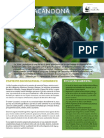 WWF FCS 15 Chiapas - Lacandona