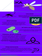 Infografia Proyecto de Vida 3d Risografia Morado Azul