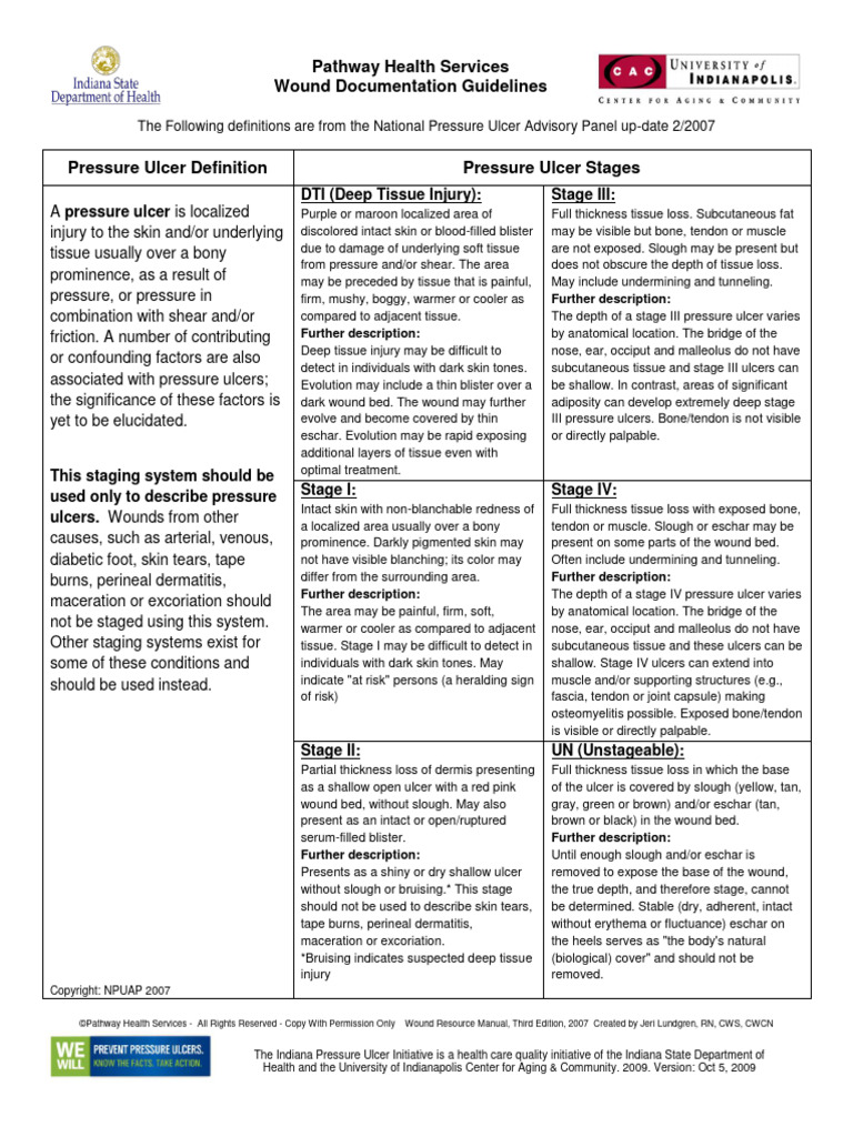 Wound_Documentation_Guidelines PDF Skin Wound