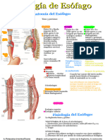 Patologia de Esofago