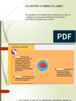 Adaptaciones Curriculares (DUA)