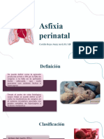 Asfixia Perinatal