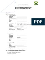 Informe Final de Prácticas Pre Profesionales Pp1-2-3-4