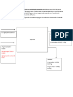 Proceso de Inyección Inmediata PEISA