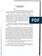 Derecho Penal Parte Especial 13-20