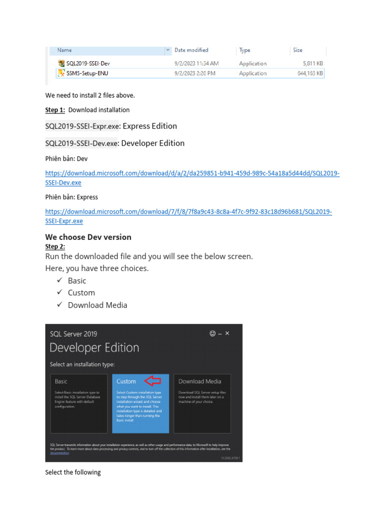 SetupSQL2019 PDF Microsoft Sql Server User