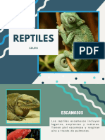 REPTILES