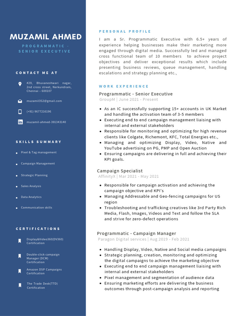 Muzamil Ahmed: Programmatic Executive Profile | PDF | Online ...