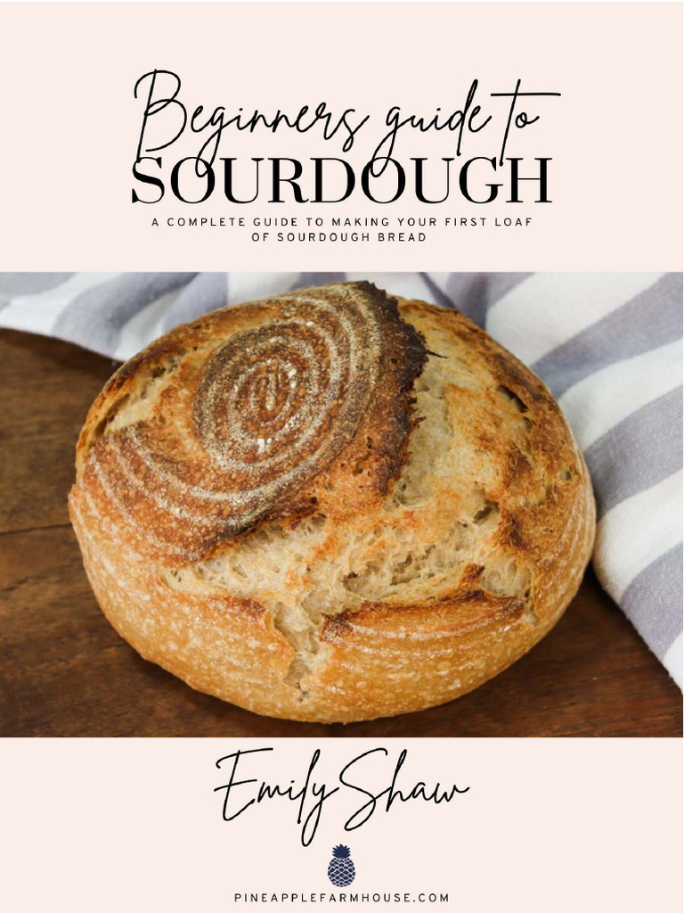 SOURDOUGH BREAD A BEGINNER S GUIDE visual data 6