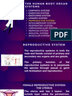 Reproductive System