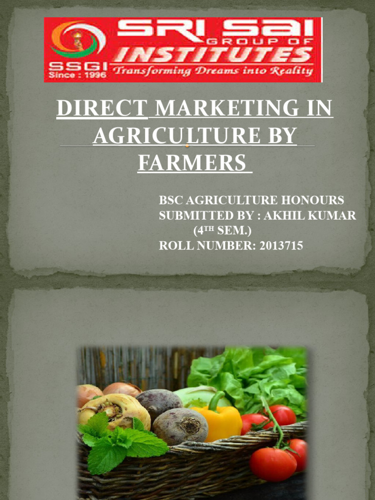 Akhil Pdf Economies Marketing