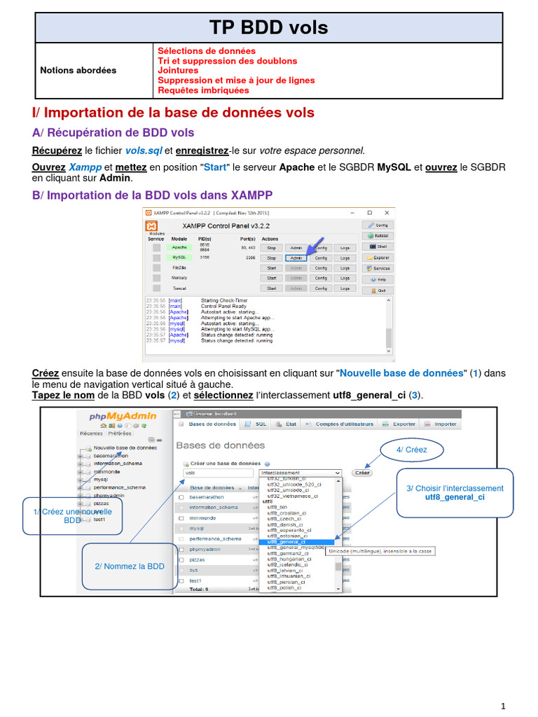 TP BDD Vols : Requêtes SQL et Analyse | PDF
