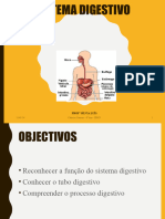 Sistema Digestivo 6º Ano