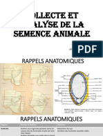 Collecte Et Analyse de La Semence Animale