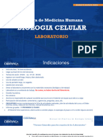 Biología Celular-Fundamentos de Bioseguridad