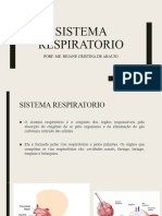 Sistema Respiratorio