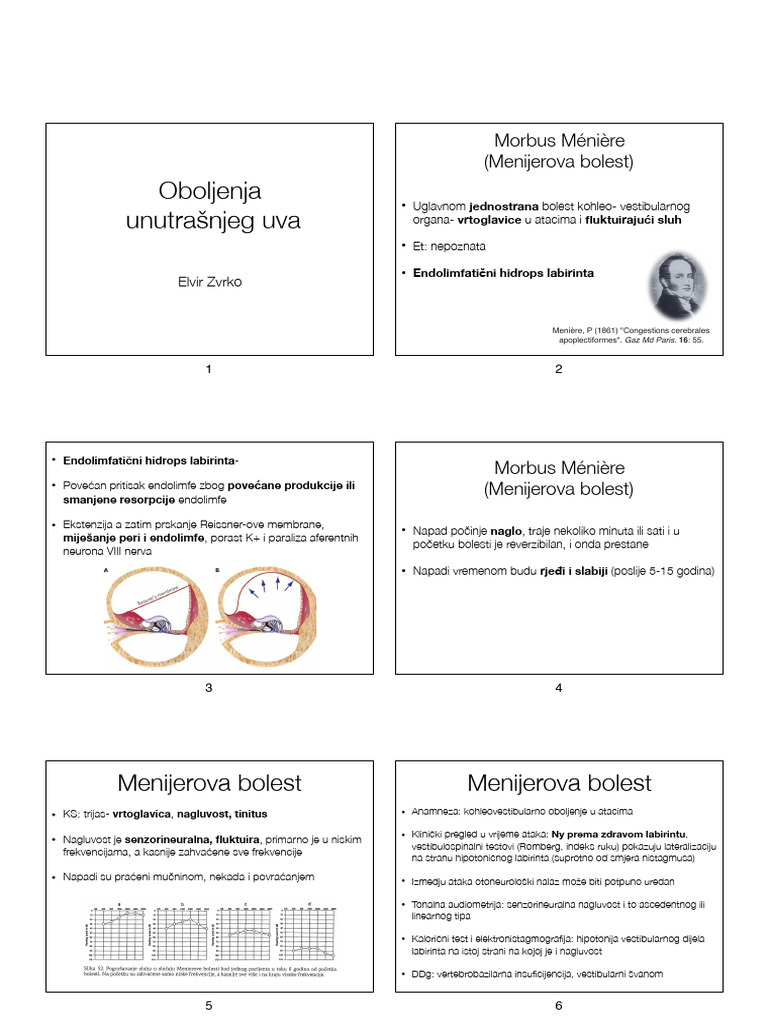 Unutrašnje Uvo | PDF