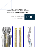 1.slayt (MEDULLA SPINALIS, CIKAN YOLLAR Ve LEZYONLARI Tä p2 22.10.2018)