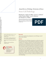 Stem Cell Pathology