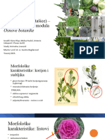 Seminarski Rad Iz Osnova Botanike - Brassicaceae