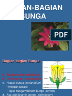 Bagian-Bagian Bunga