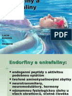 Endorfiny A Enkefaliny