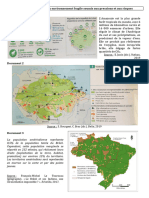 La Forêt Amazonienne, Un Environnement Fragile Soumis Aux Pressions Et Aux Risques Document 1