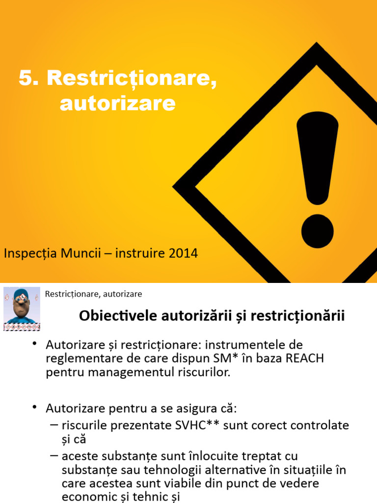 5 Restrictii Autorizare | PDF