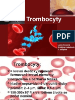 Refreat TRombocyty - Definitivni Verze