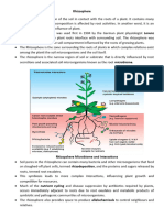 Rhizosphere