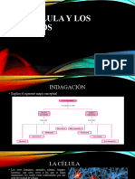 Guia 1. La Célula y Los Tejidos