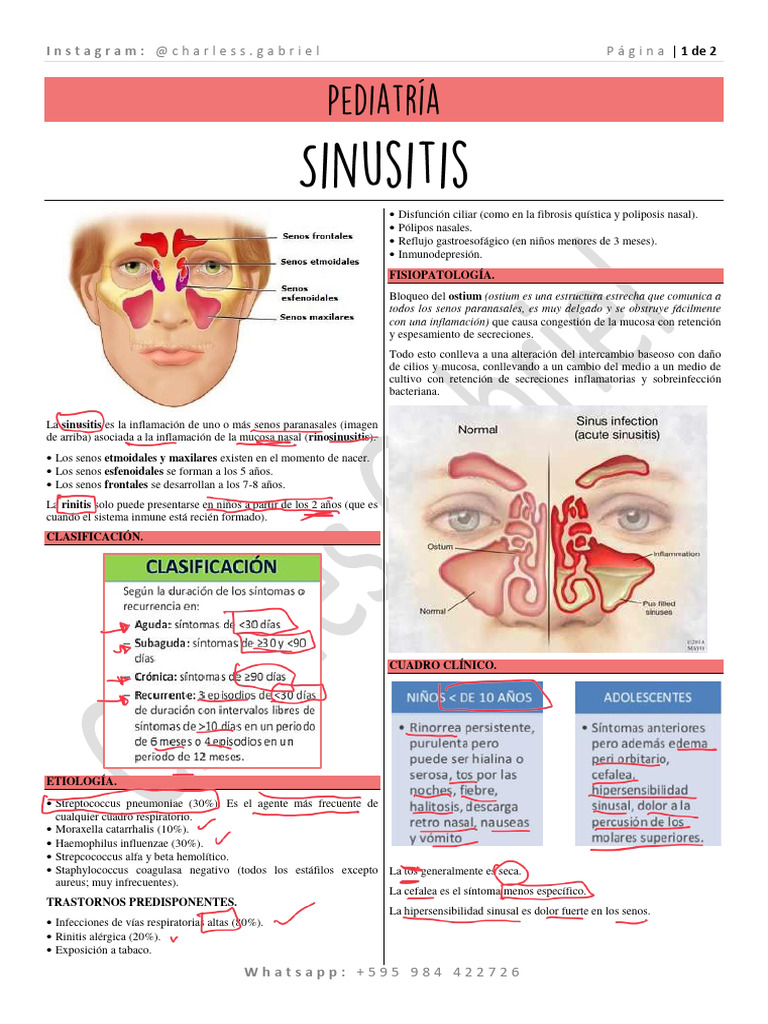 Sinusitis en Pediatría: Diagnóstico y Tratamiento | PDF | Enfermedades ...