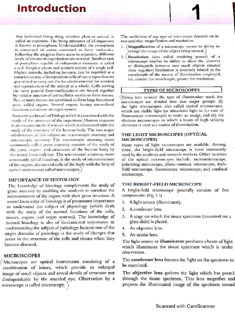 What is Fitbit Labs intelligence overview