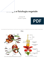 Biologia Vegetale Lezione 23 - Il Fiore 1 Parte