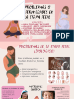 Problemas o Enfermedades en La Etapa Fetal