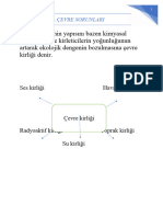 Ekosistemin Yapısını Bazen Kimyasal Maddelerin Ve Kirleticilerin Yoğunluğunun Artarak Ekolojik Dengenin Bozulmasına Çevre Kirliği Denir