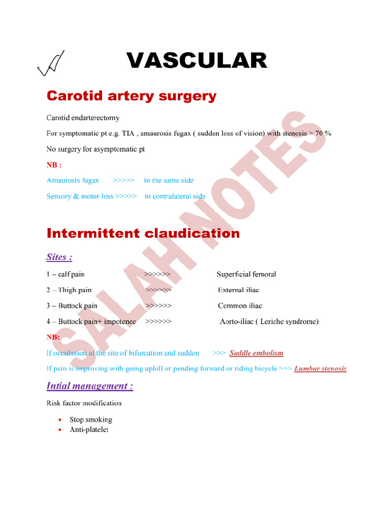 Vascular | PDF