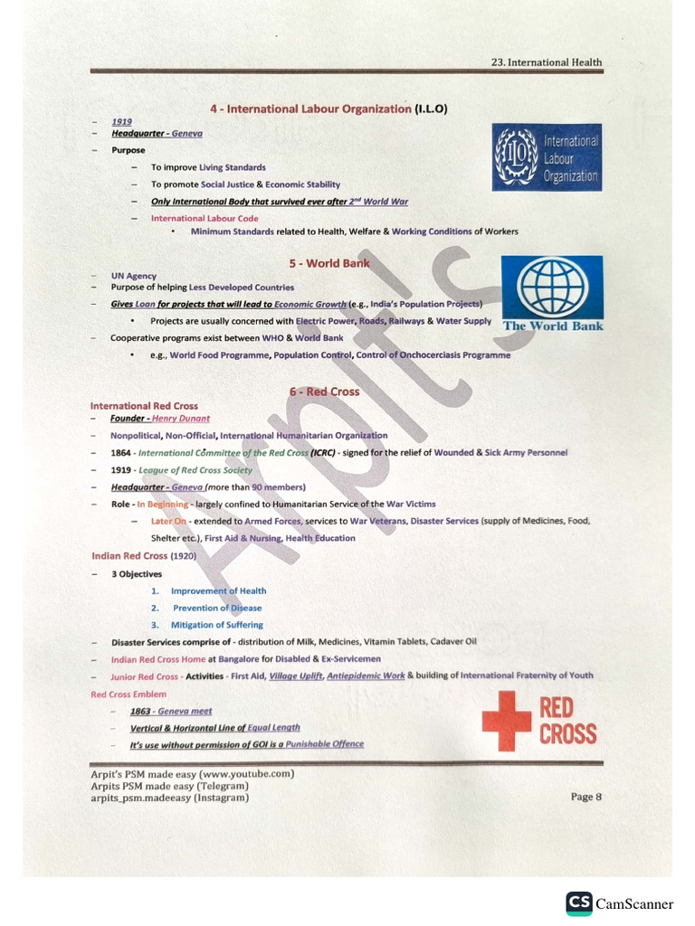 6 - Red Cross | PDF