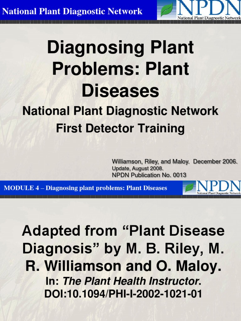 Diagnosing Plant Health Issues | PDF | Plant Pathology | Medical Diagnosis