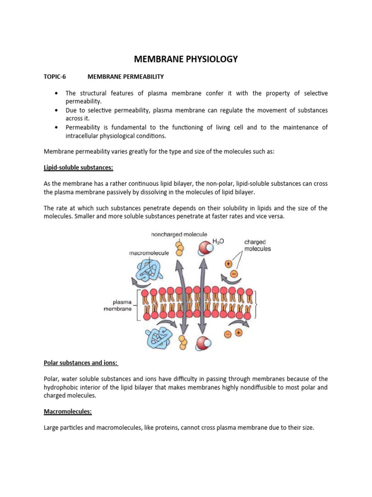 Physiology Handouts (Tpoic 6-15) | PDF | Action Potential | Membrane ...