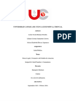 Ensayo de Salud Publica PDF