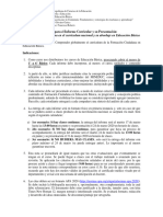 Formación Ciudadana - Informe Curricular (Pauta y Rúbrica) 2019