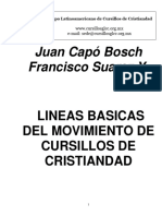 Lineas Basicas Del MCC Capo - Suarez