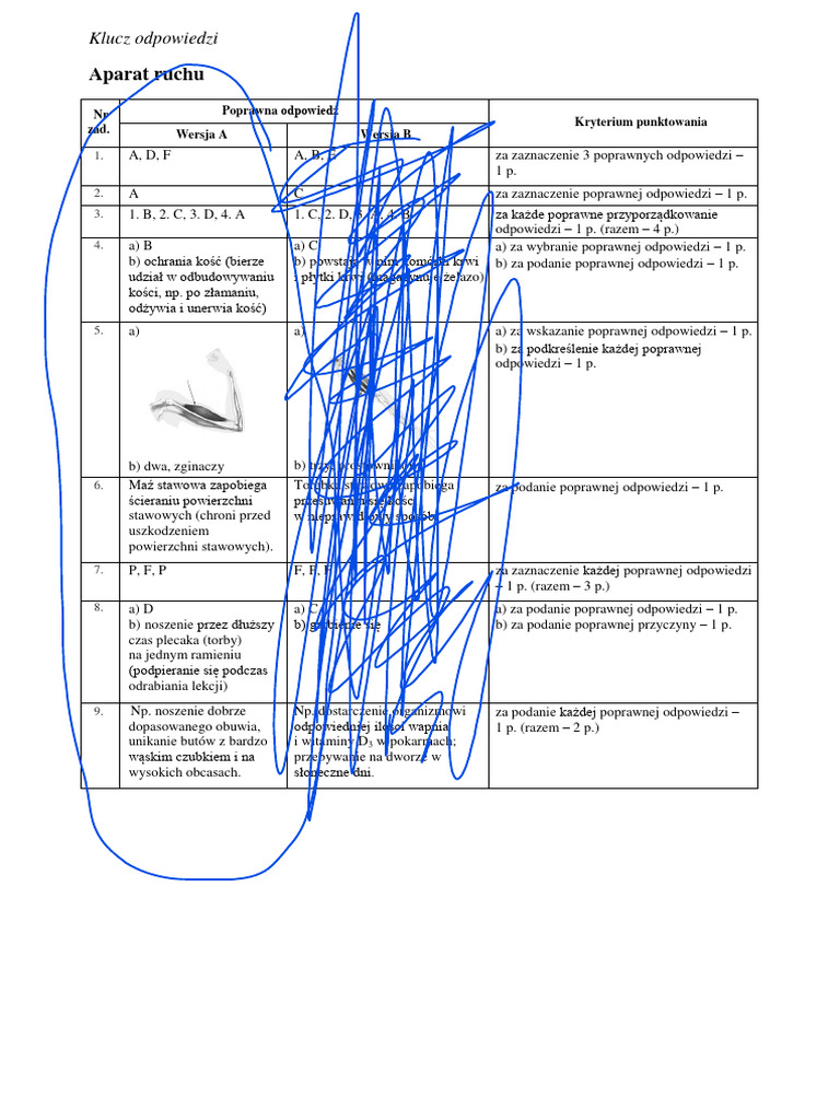 Sprawdzian Z Aparatu Ruchu Odpowiedzi Aparat Ruchu: Klucz Odpowiedzi | PDF